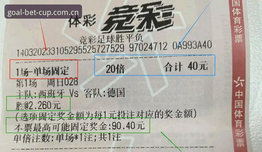 为什么世界杯体彩中文站是手机端投注的首选？一位老用户的真实体验